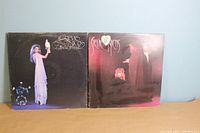 Both Stevie Nicks vinyl LP album covers, Bella Donna (1981) on left, The Wild Heart (1983) on right, showing front covers with art and titles.