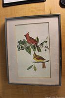 Framed Audubon print of male and female cardinal on branch with leaves and berries, full view