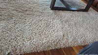Close-up image of the beige shag rug texture on a wood floor, showing the thick plush pile.