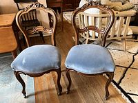 Pair of Victorian balloon back side chairs with hand-carved black walnut balloon backs and blue velvet seats showing wear and stains.