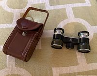 Binoculars next to brown leather case showing total items and condition