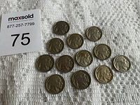 Top view of 12 Buffalo nickels laid out on a textured cloth, showing obverse side with Native American profile.