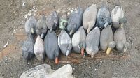 Top view of all 16 duck decoys arranged on the ground showing varied colors and attached weights.