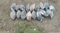Front view of 17 duck decoys arranged on the ground along with a green mesh carrying bag placed below them.