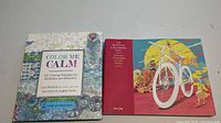 Photo of the two coloring books 'Color Me Calm' and 'The Bicycle Coloring Book' seen closed with front covers visible.
