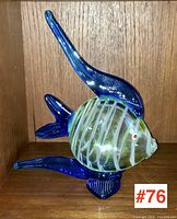 Front angle showing the fish's striped translucent body and prominent blue dorsal fin