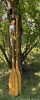 Two vintage wooden canoe paddles leaning against a tree outside, showing full length differences.