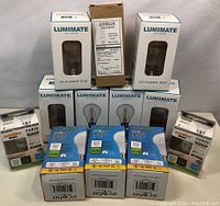 Full lot showing 12 LED bulbs in original boxes arranged in rows including Lumimate, Junolux, Sunlite, and Ecofit brands.