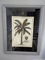 Framed vintage botanical print showing palm tree by Bombay Company with silver-painted rectangular frame.