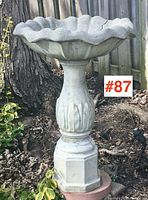 Full view of vintage cement bird bath standing outdoors next to a tree and fence showing overall shape, color, and condition.