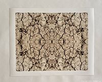 Three prints laid out flat showing all three images