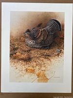 Full view of the lithograph showing the entire image of the grouse on the natural ground with leaves, including the border and artist signature area.