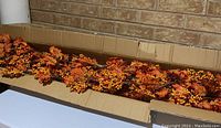 Box with 12 sections of Thanksgiving fall garland inside, showing leaves and berries
