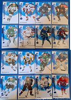 Photo of 16 Upper Deck SP Authentics rookie hockey cards arranged in two rows inside protective sleeves showing various players.