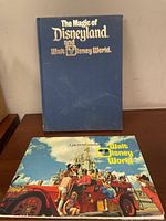 Two vintage Disney books shown on a wooden surface, one blue hardcover and one large pictorial souvenir book with people and Disney castle on cover.