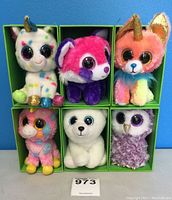 Front view of all 6 Ty big-eyed stuffed animals arranged in green compartments, showing variety of characters and colors.