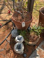 Outdoor scene showing three large terracotta pots filled with plants, one medium terracotta pot with plants, two stainless steel solar lights, and a gray stone frog figurine on the ground. Natural lighting and shadows from surrounding foliage indicated.