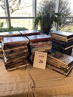 Photo showing multiple stacks of DVDs on a table with a plant and large window in the background. Case spines reveal a variety of movie titles and genres.