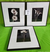 Set of three black and white floral prints in metal frames with glass, shown front side.