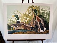 Full view of signed numbered lithograph showing mallard ducks in habitat with numbering and signature visible.