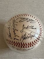 Photo showing multiple autographs including notable signatures such as Mike Fitzgerald, and others on the baseball; baseball secured inside clear plastic protective case.