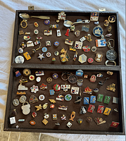 Open case showing an extensive assortment of over 100 pins with various themes and shapes, laid out on a brown velvet interior.