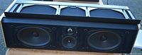 Front view of center channel speaker showing dual oval woofers and central tweeter without grille