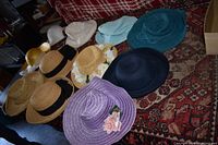 Wide view showing 8 hats in various colors and styles on a patterned carpet