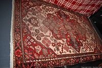 Full view of rug showing central medallion, borders and fringe