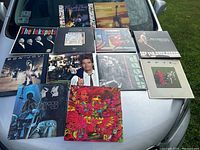 Overview of all 12 vinyl record albums spread on a car hood including notable albums by Bruce Springsteen, Prince, Led Zeppelin, The Doors, Bon Jovi, Cream, The Ink Spots, and others.