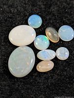 Top-down close-up photo of nine assorted genuine opal gemstones arranged on black fabric background showing colors and shapes.