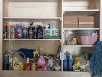 Shelves with various cleaning supplies including spray bottles, liquids, powders, and cleaning cloths