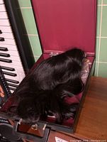 Black wig lying inside an open hard case with red interior fabric, showing the wig texture and length.