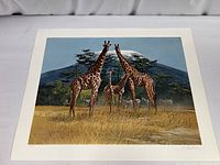 Full view of the art print showing four giraffes standing in a grassy area with zebras and a mountain behind them.