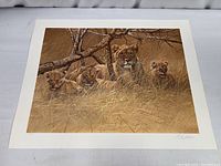 Full view of the print showing a female lion with her three cubs in a natural brush environment, mounted on a white border