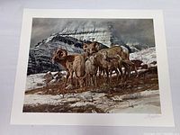 Full view of vintage framed print showing a family of Rocky Mountain rams in winter with snowy mountain background.