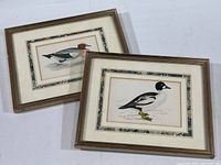 Two framed duck prints side by side showing Wigeon and Golden Eye ducks, displayed on white surface