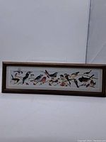 Full view of the framed rectangular watercolour painting showing multiple birds on branches under glass.