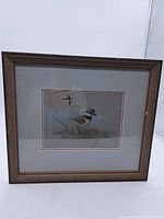 Front view of framed watercolour painting showing full artwork of young killdeer bird and frame details.