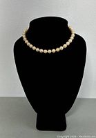 Front view of the pearl necklace displayed on black bust stand.