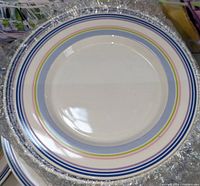 Top view of a dinner plate showing multi-colored concentric rings pattern in blue, green, and pink on white ceramic.