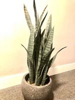 Side view of the artificial snake plant showing several upright pointed green leaves with dark horizontal stripes in a gray textured pot on carpet.