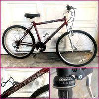 Side view of full Infinity Telluride mountain bike showing maroon frame, black saddle, and white front suspension fork.