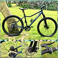 Full side view of the blue Schwinn 7 speed hybrid bike leaning against a tree on a grass background. Main photo shows detailed side profile, including frame, wheels, chain, and saddle.