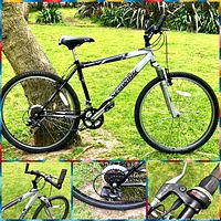 Full side view showing silver and black frame with Schwinn branding, 26-inch wheels, and knobby tires.