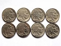 Photo showing all eight Buffalo Nickel coins dated 1925, 1927, 1934, 1935, and four from 1936, arranged on a neutral background.