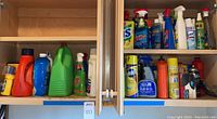 View of two shelves with an assortment of cleaning liquids and spray bottles including detergents and polishes in varied packaging.