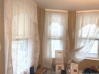Four sheer lace curtain panels hanging on windows, showing pattern and translucency