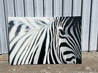 Large canvas featuring a close-up photographic image of a zebra showing striped fur and part of the face.