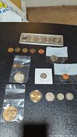 Overview of the coins arranged on a black surface showing pennies, nickels, quarters in plastic holders and ziplock bags.